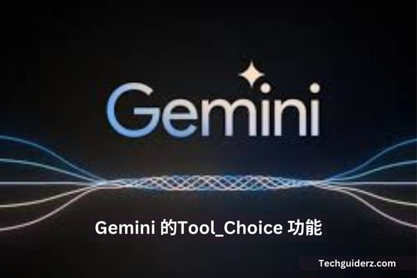 gemini 的tool_choice 功能